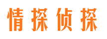 桃山市场调查